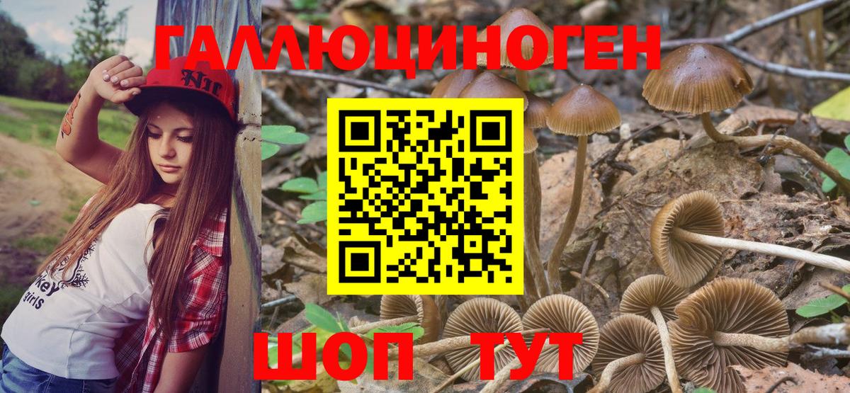 Кушва  Псилоцибиновые грибы мухоморы  Вход с VPN 